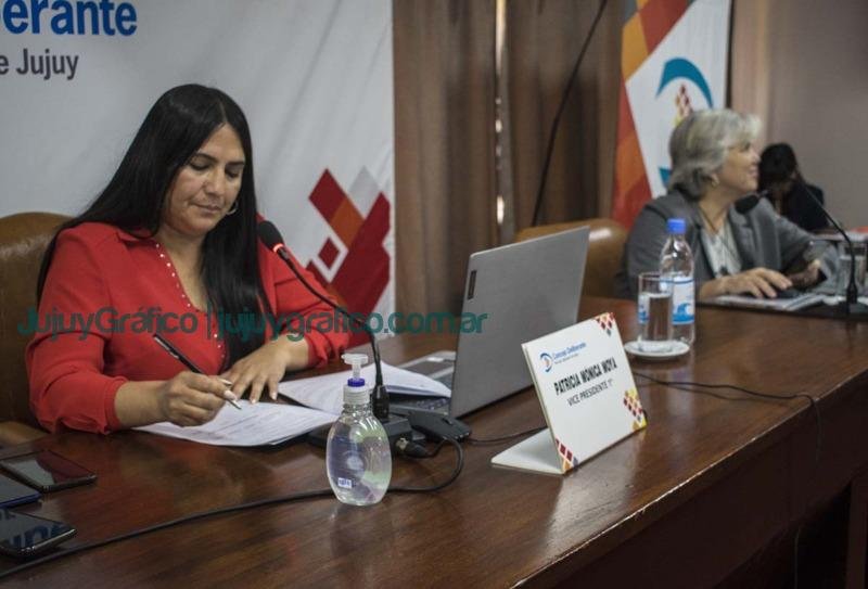 13ª sesión del Concejo Deliberante Capitalino 3 13a sesion del Concejo Deliberantes Capitalino 1